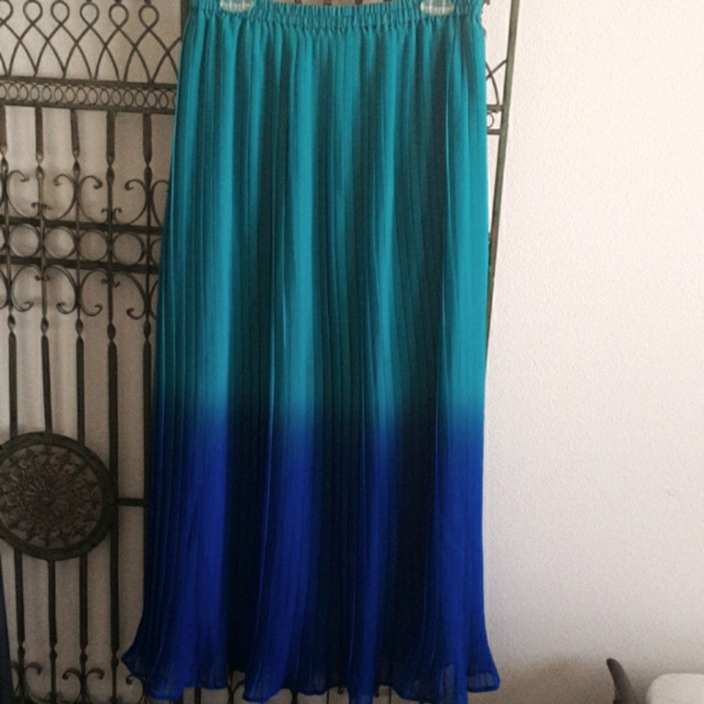 Ombre Maxi Skirt